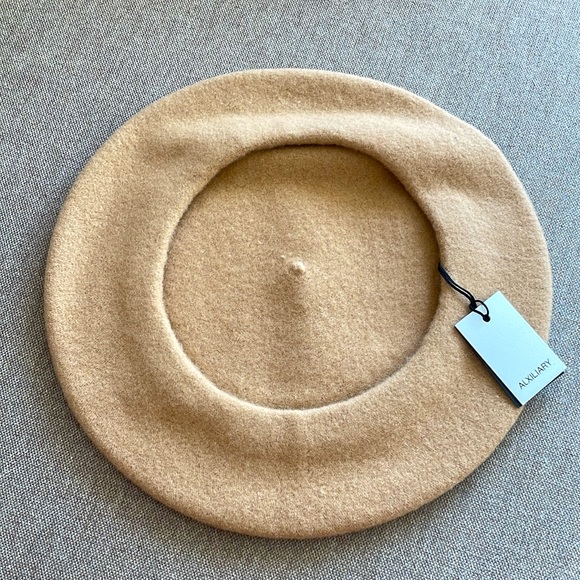 NWT Auxiliary WOOL BERET | Aritzia - Picture 4 of 6